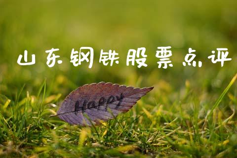 山东钢铁股票点评_https://www.lansai.wang_基金理财_第1张