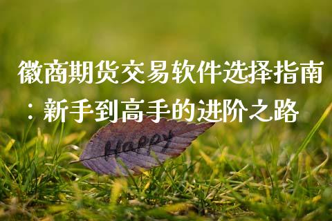 徽商期货交易软件选择指南：新手到高手的进阶之路_https://www.lansai.wang_期货资讯_第1张