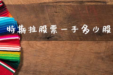特斯拉股票一手多少股_https://www.lansai.wang_股票问答_第1张