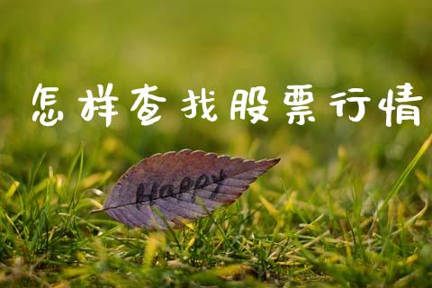 怎样查找股票行情_https://www.lansai.wang_股票知识_第1张
