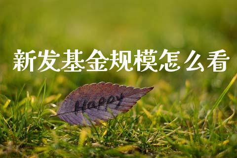 新发基金规模怎么看_https://www.lansai.wang_基金理财_第1张